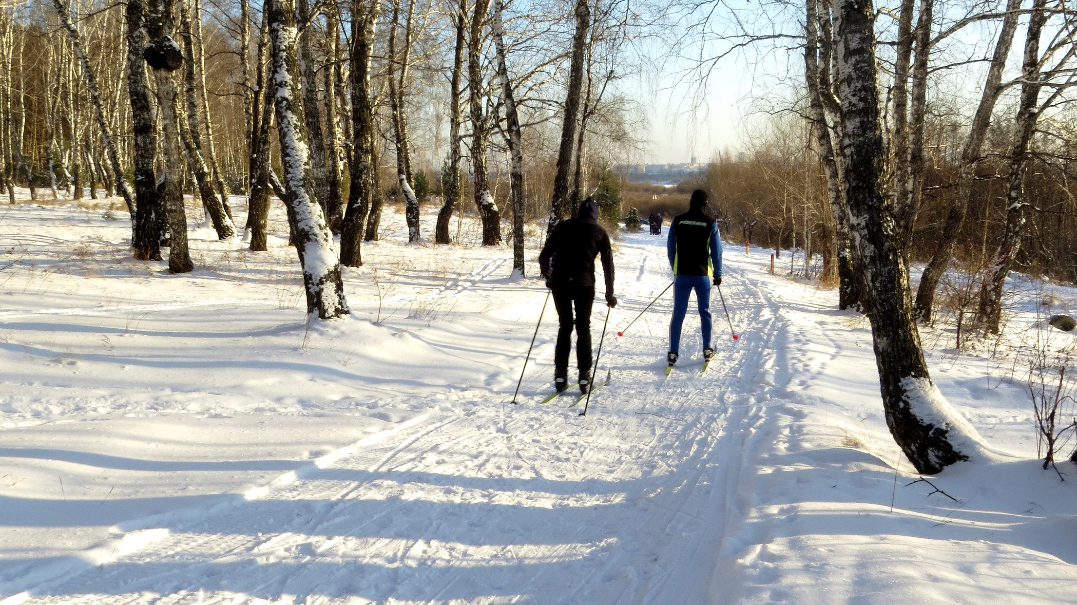Катание на лыжах в лесопарке имени Ю. А. Гагарина
