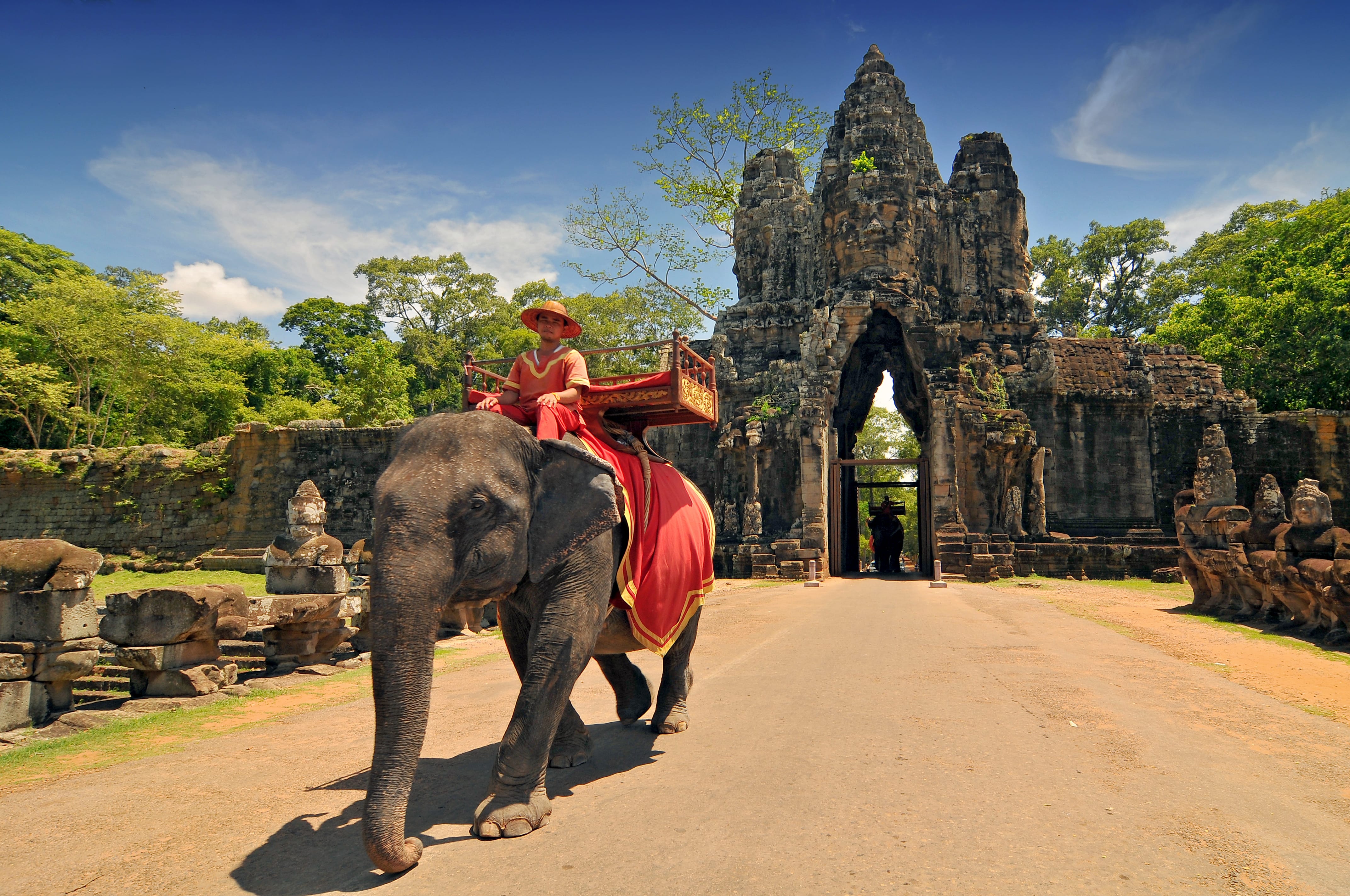 Камбоджа на слонах