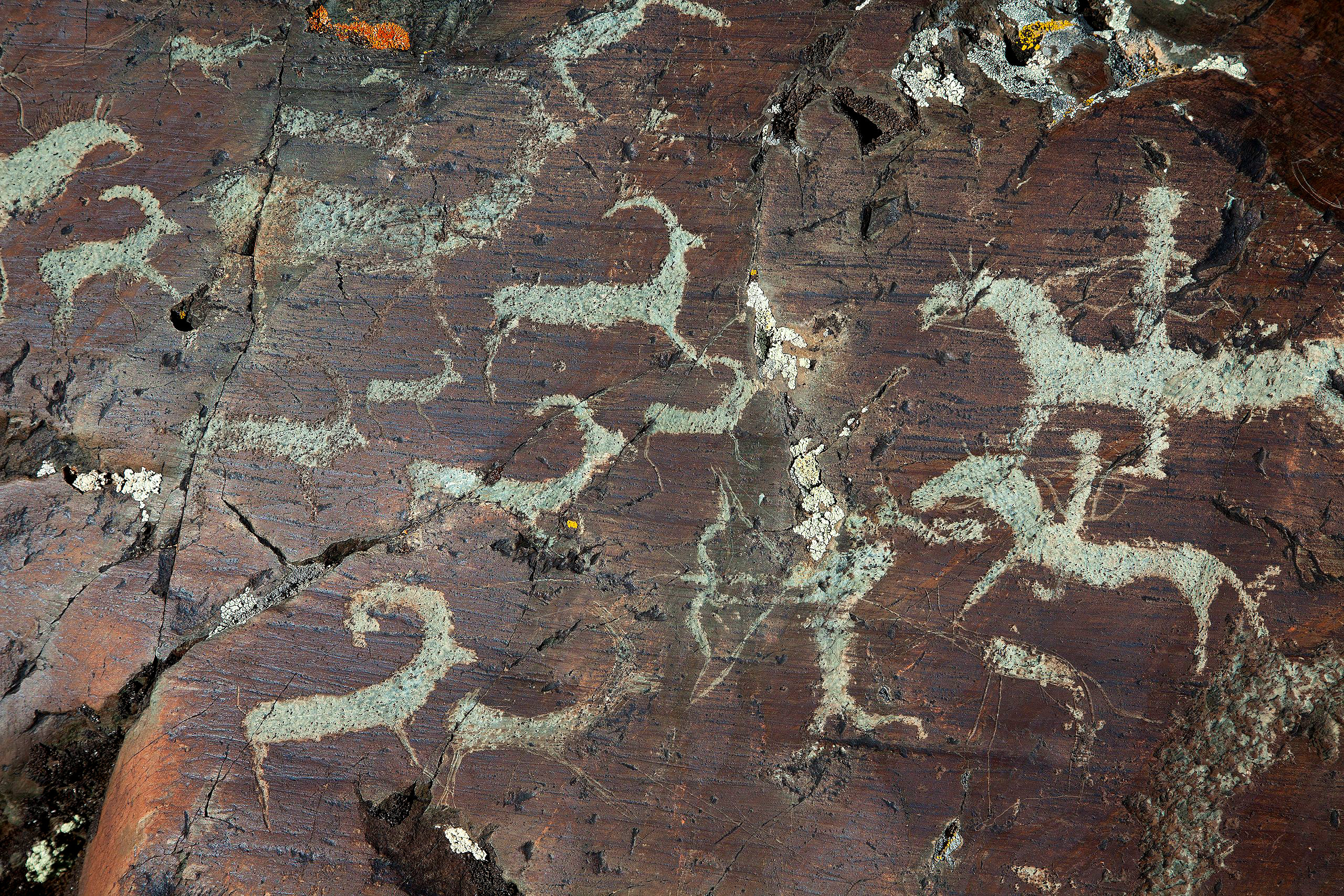 Сцена охоты, петроглифы принадлежащие древнетурской эпохе изображенные в долине Елангаш