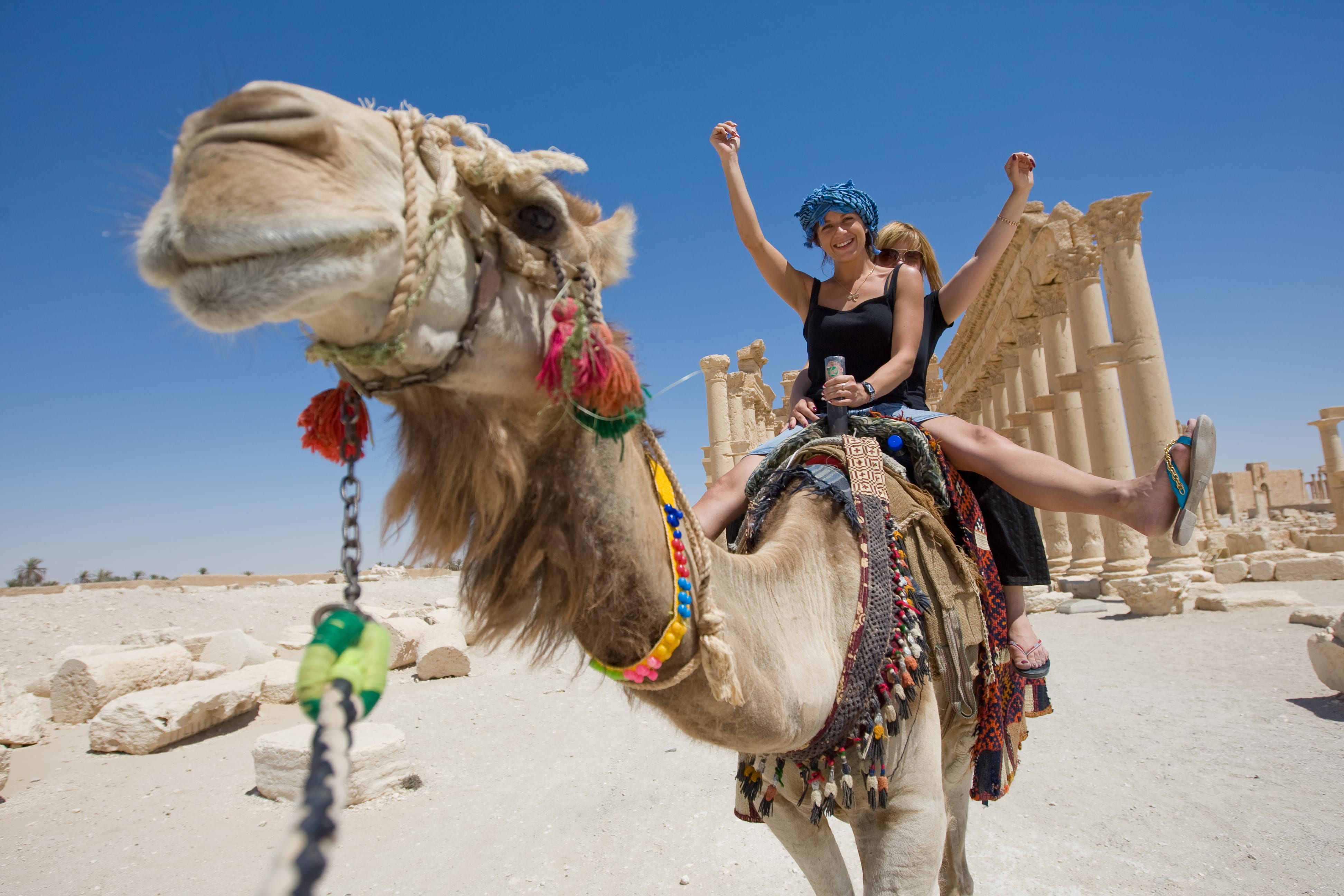 Девушки на верблюде в Египте