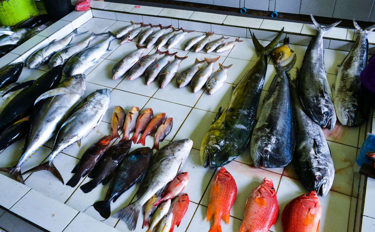Рыбный рынок Мале, Мальдивы